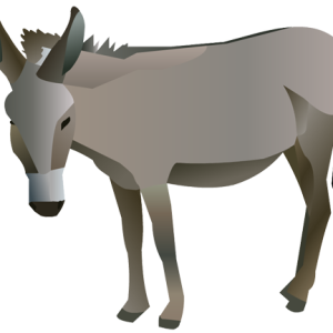 Donkey PNG