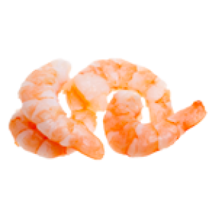 Shrimps PNG