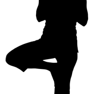 Yoga PNG