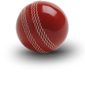 Cricket ball PNG
