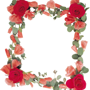 Floral frame PNG