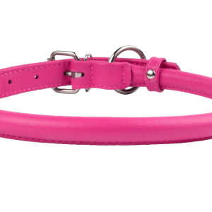 Dog collar PNG
