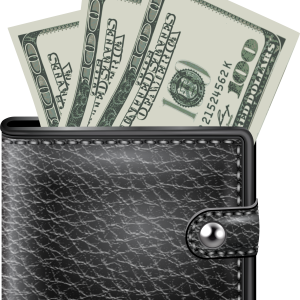 Wallet with money PNG image