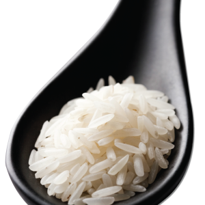 rice PNG