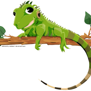 Iguana PNG