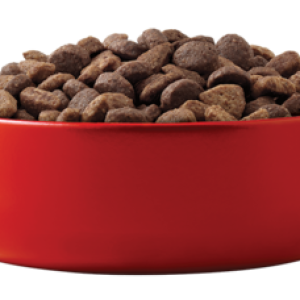 Dog food PNG