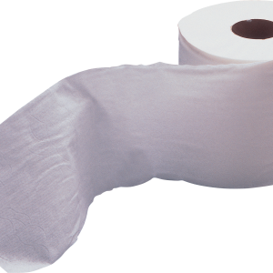 Toilet paper PNG