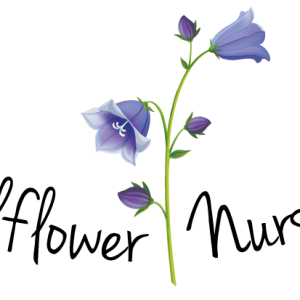 Bellflower PNG