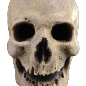 Skull PNG