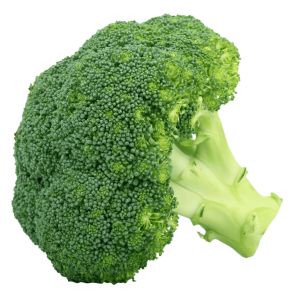 Broccoli PNG