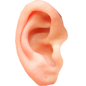 Ear PNG