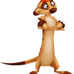 Timon PNG