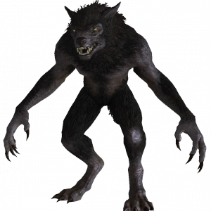 Werewolf PNG