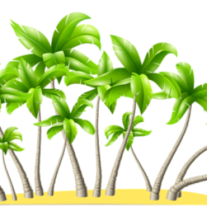 Beach PNG