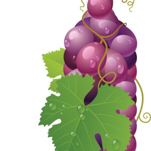 Red grape PNG image