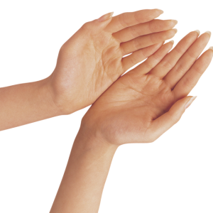 hand PNG