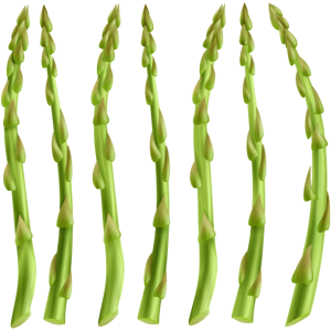 Asparagus PNG