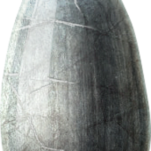 Sunflower seeds PNG