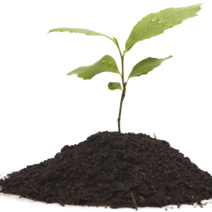 Soil PNG