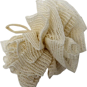 Sponge bath PNG