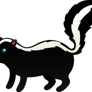 Skunk PNG