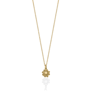 Necklace PNG