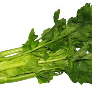 Celery PNG