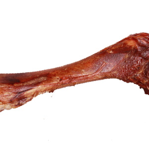 Bone PNG
