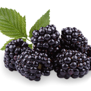 Blackberry PNG
