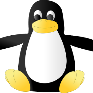 Linux logo PNG
