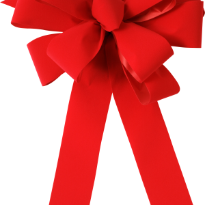red ribbon bow PNG