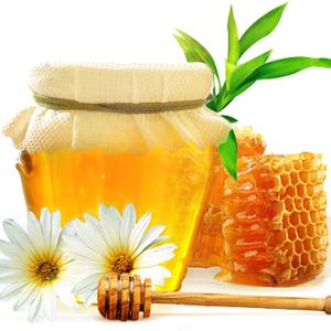 Honey PNG