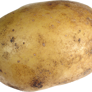 Big potato PNG image
