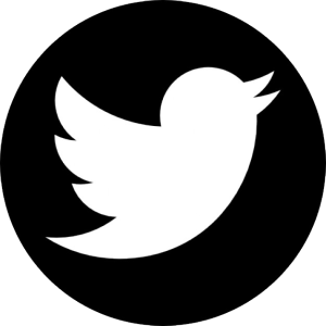 Twitter logo PNG