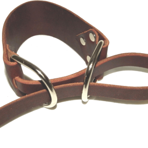 Leash PNG