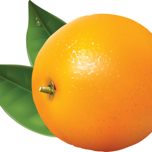 Orange PNG image with gree leaves