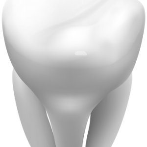 tooth png