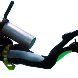 Diver PNG
