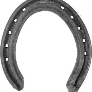 Horseshoe PNG