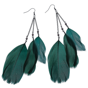 feather earrings PNG image