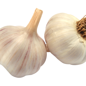 Garlic PNG