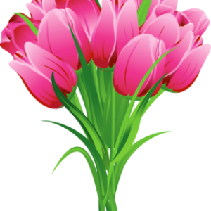 Bouquet flowers PNG