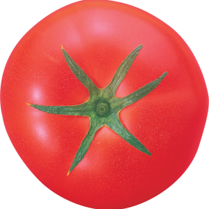 Tomato big PNG with transparent background