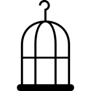 Cage bird PNG