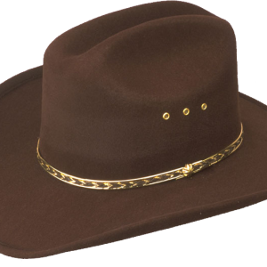 Cowboy hat PNG