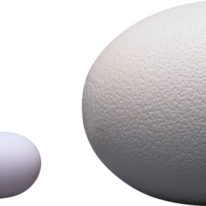 Eggs PNG